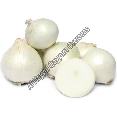 Round Organic And Natural Fresh White Onion