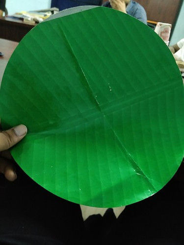 Paper Plate Raw Material
