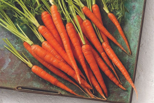 Healthy and Natural Fresh Carrot