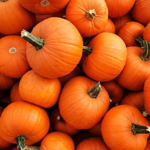 Healthy and Natural Fresh Pumpkin