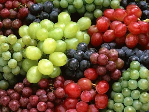 Black Organic And Natural Fresh Grapes