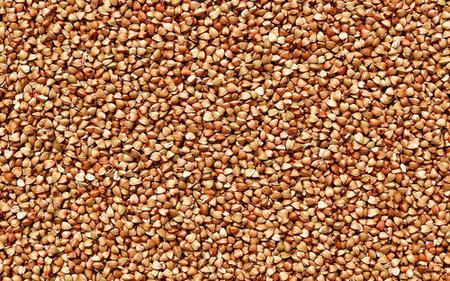 Organic Natural Gluten Free Buckwheat