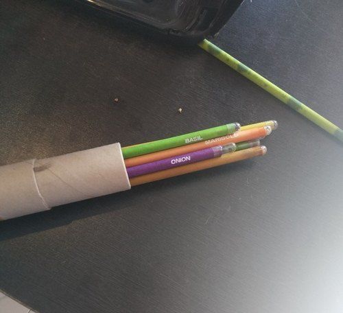 Multicolor Eco Plantable Seed Pencils