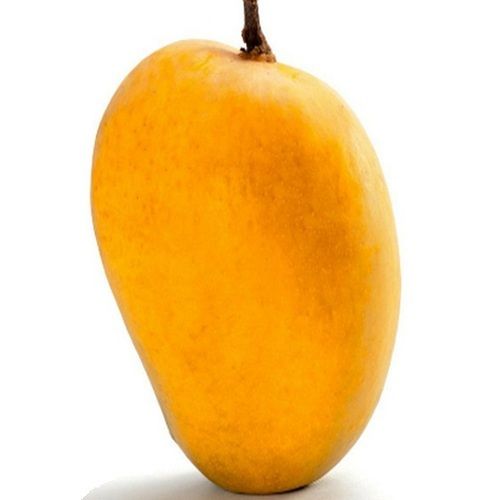 Healthy and Natural Fresh Hapus Mango