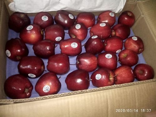 Organic Healthy And Natural Fresh Red Apple