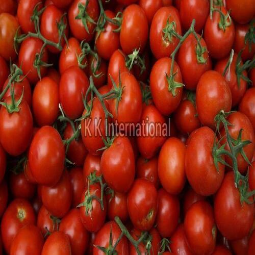 Healthy And Natural Fresh Tomato Shelf Life: 2 Years