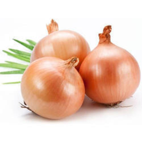 Round Organic And Natural Brown Onion