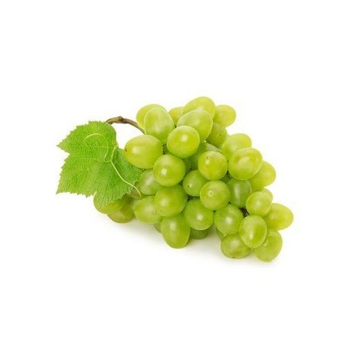 Common Healthy And Natural Fresh Green Grapes