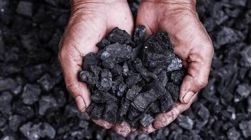 High Grade Coal For Fuel