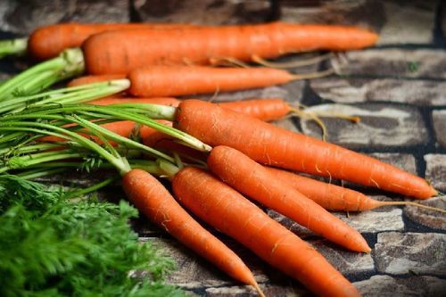 Organic and Natural Fresh Carrot