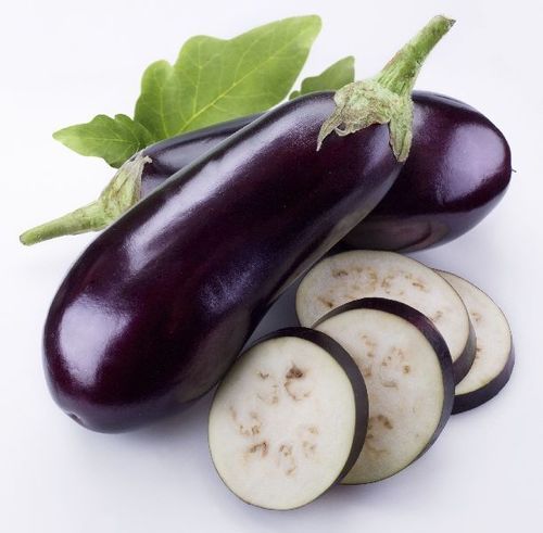 Organic And Natural Fresh Eggplant