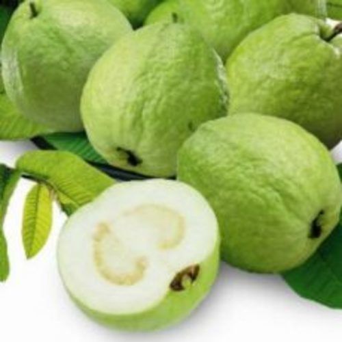 Organic and Natural White Pulp Guava