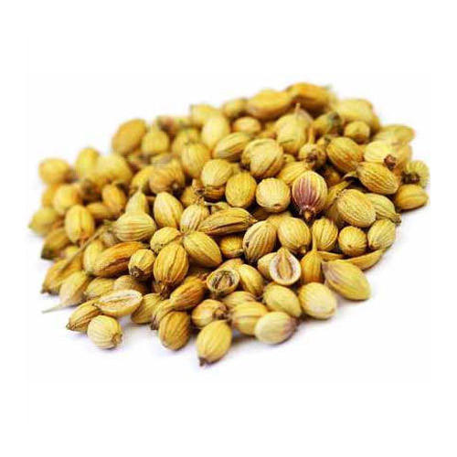 Green Healthy And Natural Dried Coriander Seeds