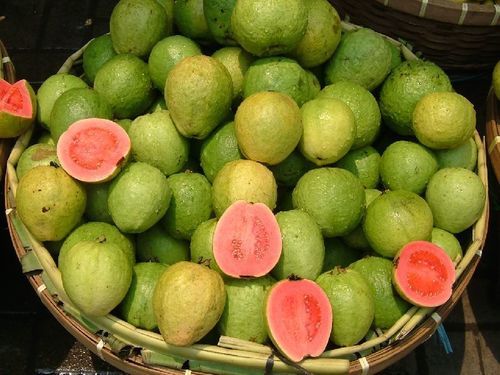 Common Healthy And Natural Fresh Guava