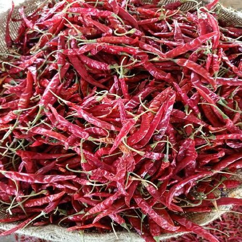 Healthy and Natural Dried Red Chilli