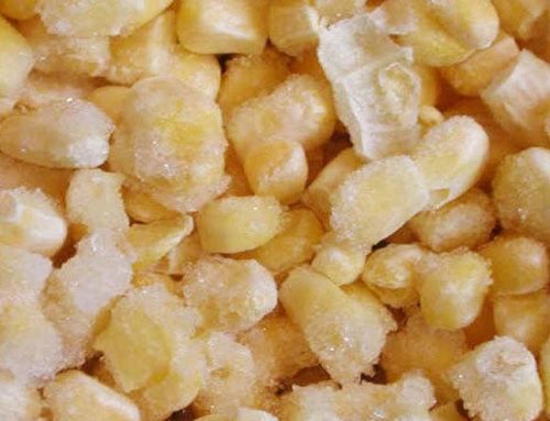 Frozen American Sweet Corn