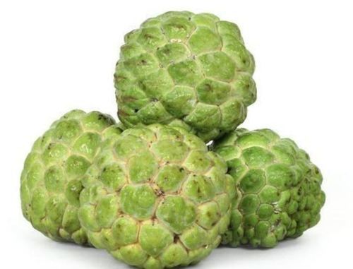 Frozen Green Custard Apple