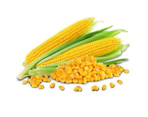 Frozen Yellow Sweet Corn - Pack Sizes of 250 g, 600 g, 1 kg, 5 kg | Natural Taste & Nutrition, High in Utein and Zeaxanthin for Eye Health