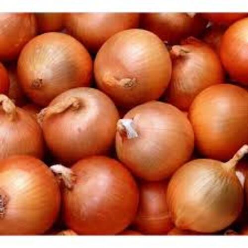 Round Healthy And Natural Fresh Yellow Onion