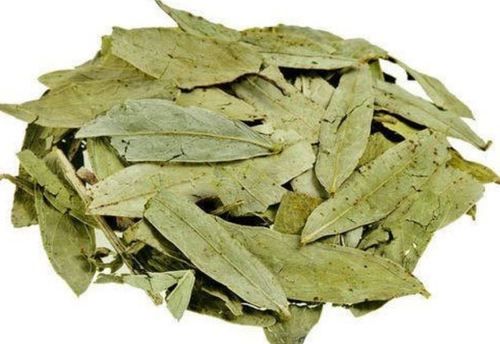 Dried Cassia Angustifolia Senna Leaves