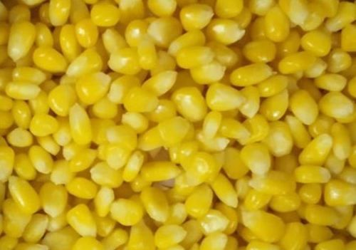 Frozen Organic Yellow Sweet Corn