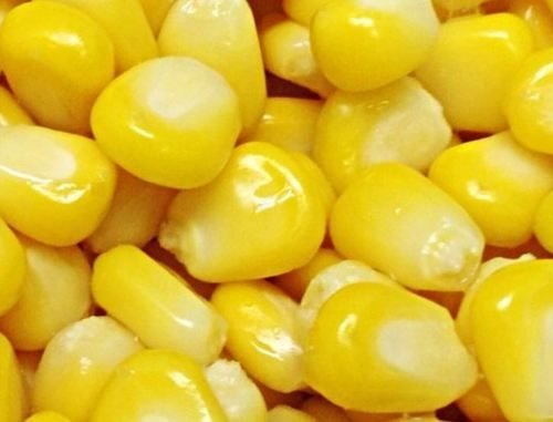 Frozen Yellow American Sweet Corn