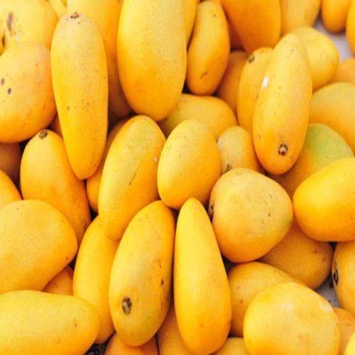 Healthy and Natural Fresh Mango