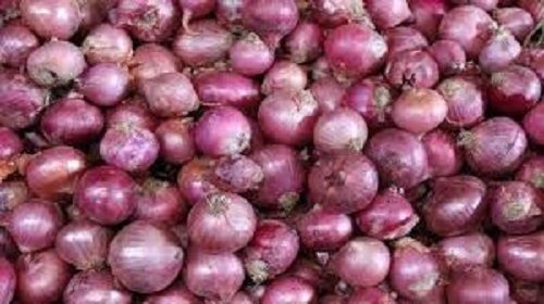 Round Indian Fresh Red Onion