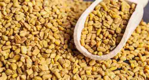 Yellow Organic Fenugreek Seeds