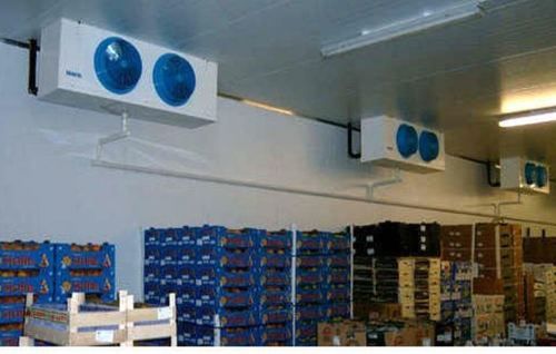 Potato Vegetable Cold Storage Rental Services Application: Commercial