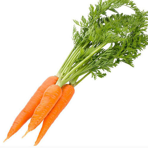 Healthy And Natural Fresh Carrot