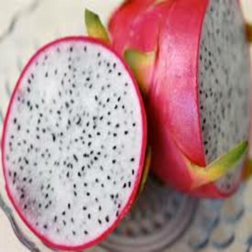 Healthy and Natural Fresh Dragon Fruit