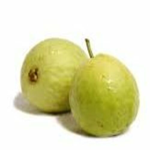 Healthy and Natural Fresh Guava