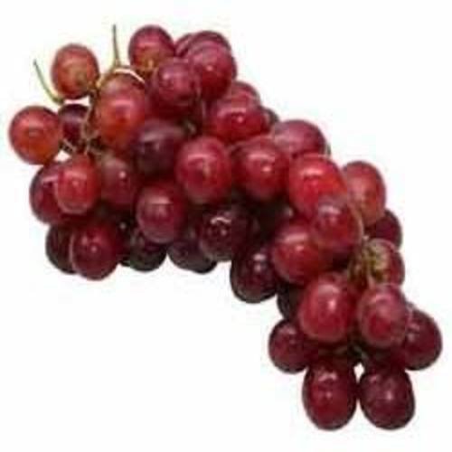 Healthy and Natural Fresh Red Flame Grapes