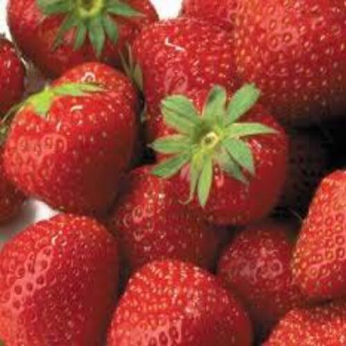 Healthy and Natural Fresh Strawberries