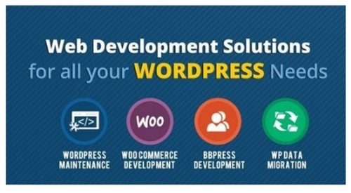 Online WordPress Development Service