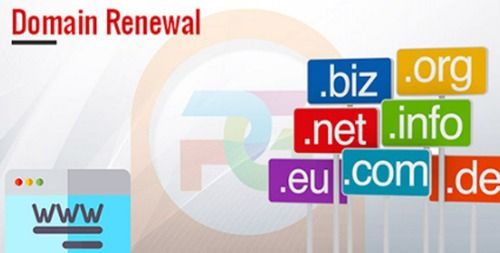 Domain Renewal Services