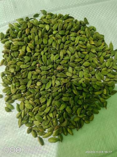 Fresh Green Cardamom 8 Mm Grade: Bold