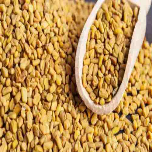 Healthy And Natural Fenugreek Seeds Grade: Food Grade