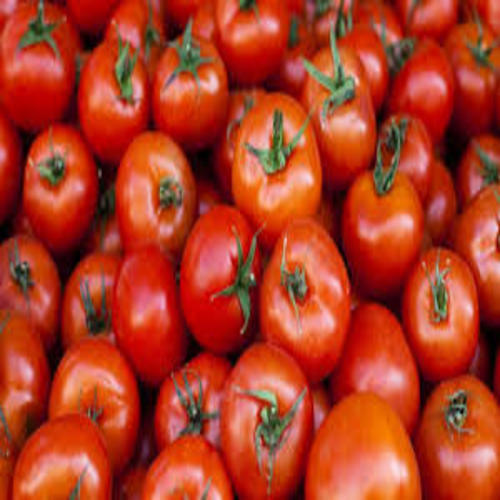 Round Healthy And Natural Fresh Tomato