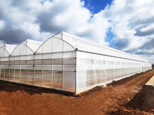 Eco Friendly Agricultural Greenhouse