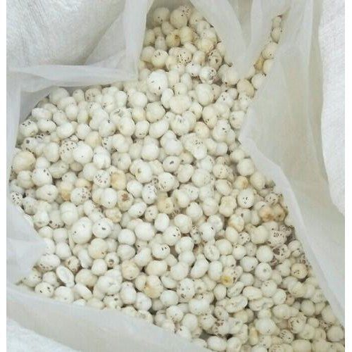 Export Quality Raw Makhana - (10kg To 5mt)