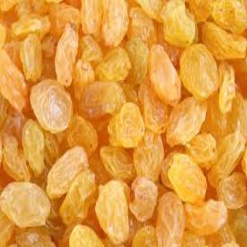 Common Healthy And Natural Dried Raisins