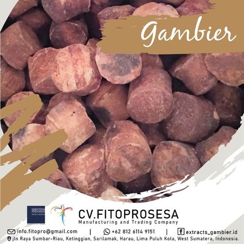 Solid Gambier Catechin Extract Grade: High