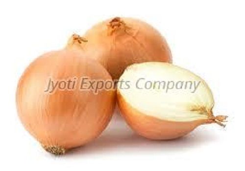 100% Pure Fresh Yellow Onion Shelf Life: 15 Days