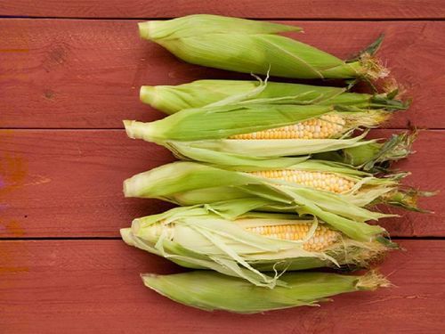 Healthy and Natural Whole Yellow Corn