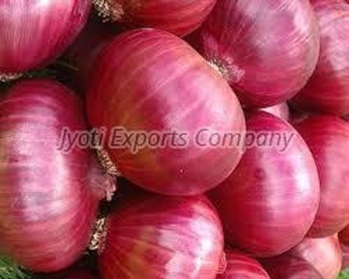 Light Pink Fresh Big Onion