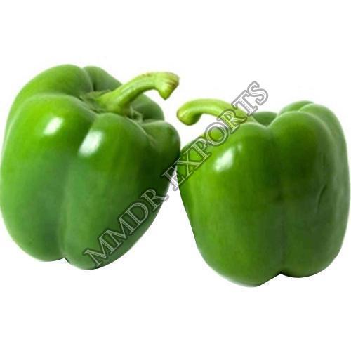 Healthy And Natural Fresh Green Capsicum Shelf Life: 5-7 Days