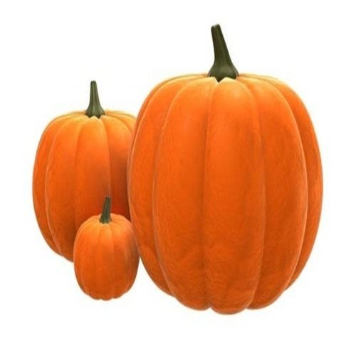 Round Healthy And Natural Fresh Pumpkin