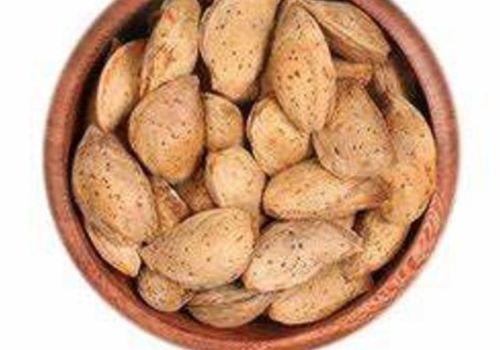 In Shell Kagzi Almond